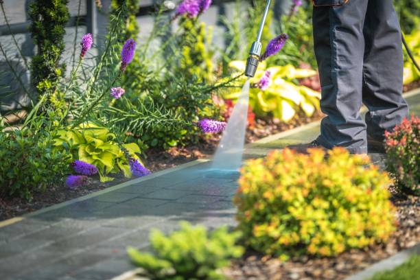 Best Dumpster Area Cleaning  in Addison, WV